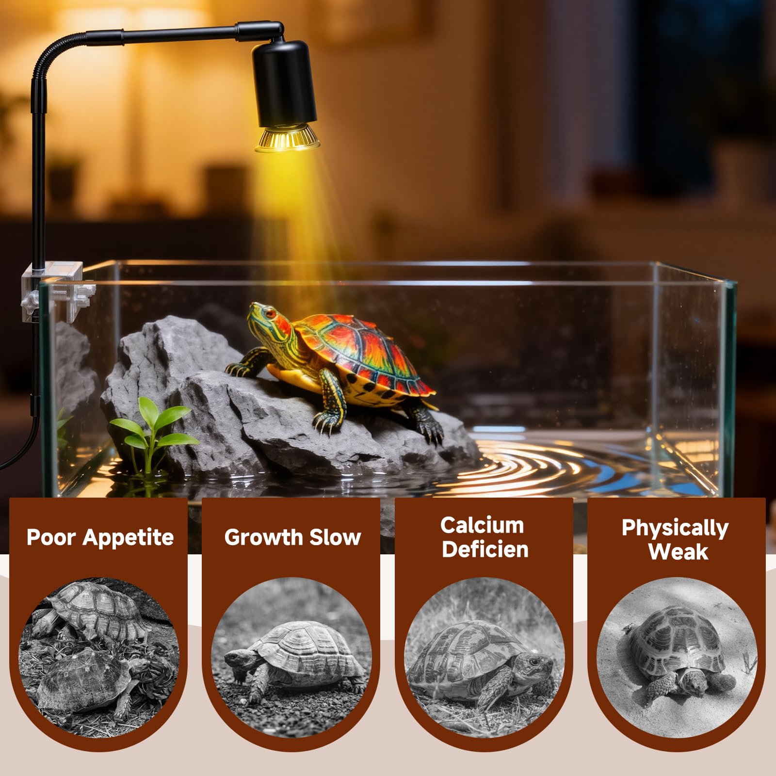 Hygger Zoo E27 base heat light compatible with standard fixtures.