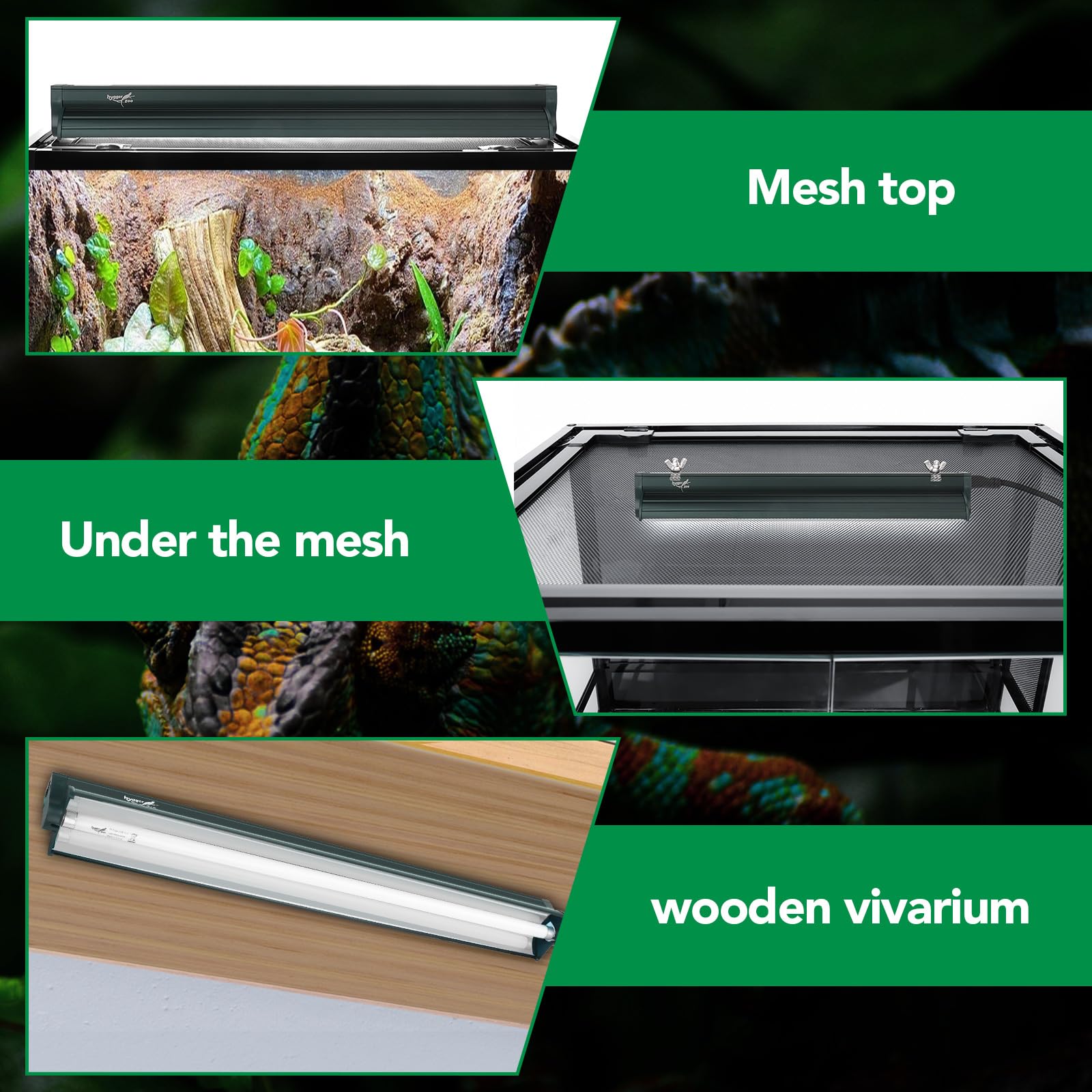 Hygger Zoo mesh-mount option allows flexible terrarium placement.
