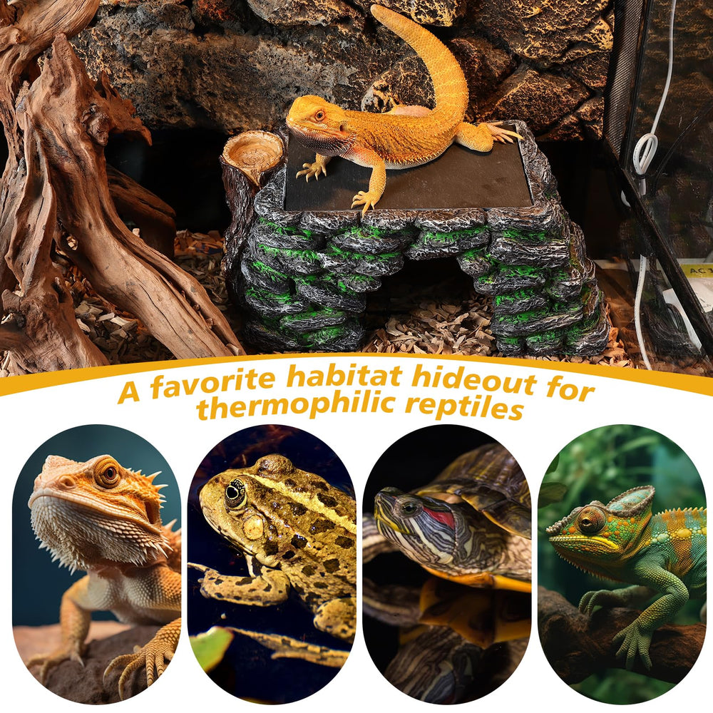 Hygger Zoo multi-use reptile scene displaying basking, hiding, and climbing