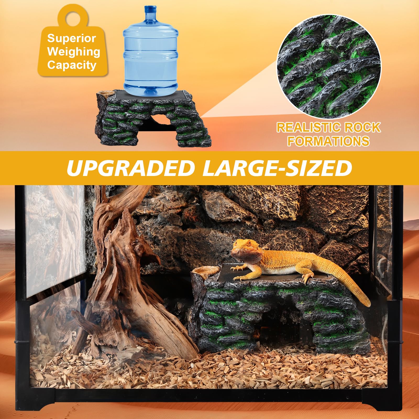 Hygger Zoo habitat scene with axolotl illustrating versatile setup