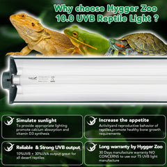 Hygger Zoo T5 light fixture mounted over mesh for versatile vivariums.