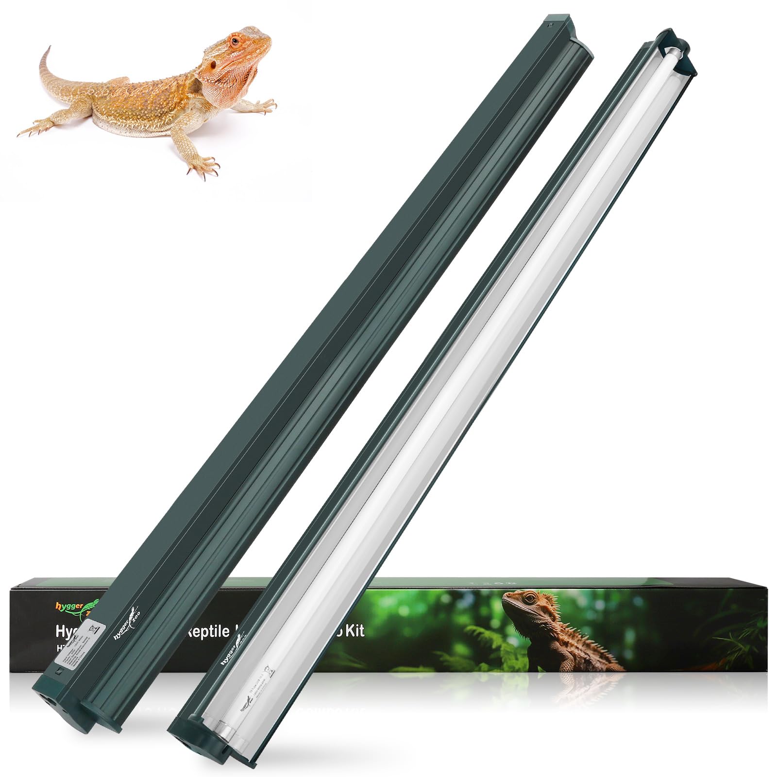 Hygger Zoo T5 UVB light fixture over terrarium supports basking and activity.