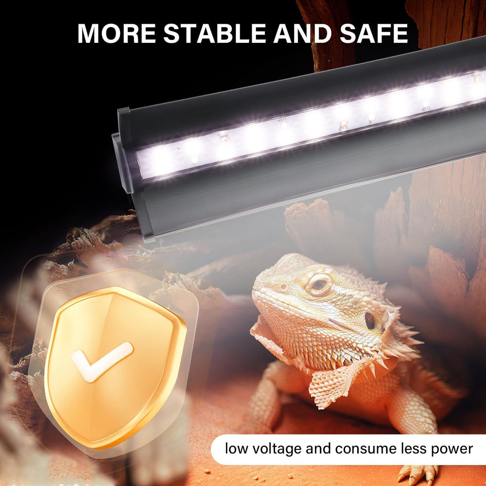 Desert reptile terrarium illuminated by Hygger Zoo UVB Light