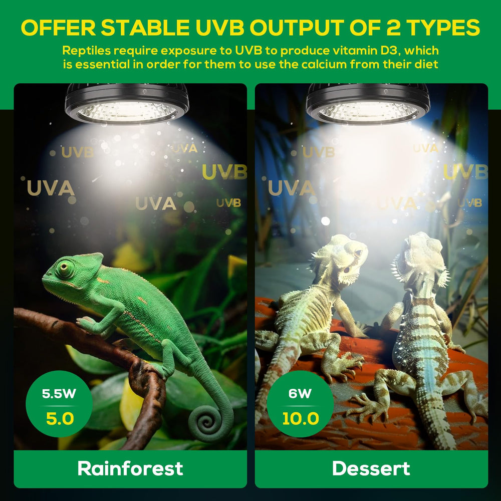 Hygger Zoo UVB light bulb in socket for easy standard installation in fixtures.
