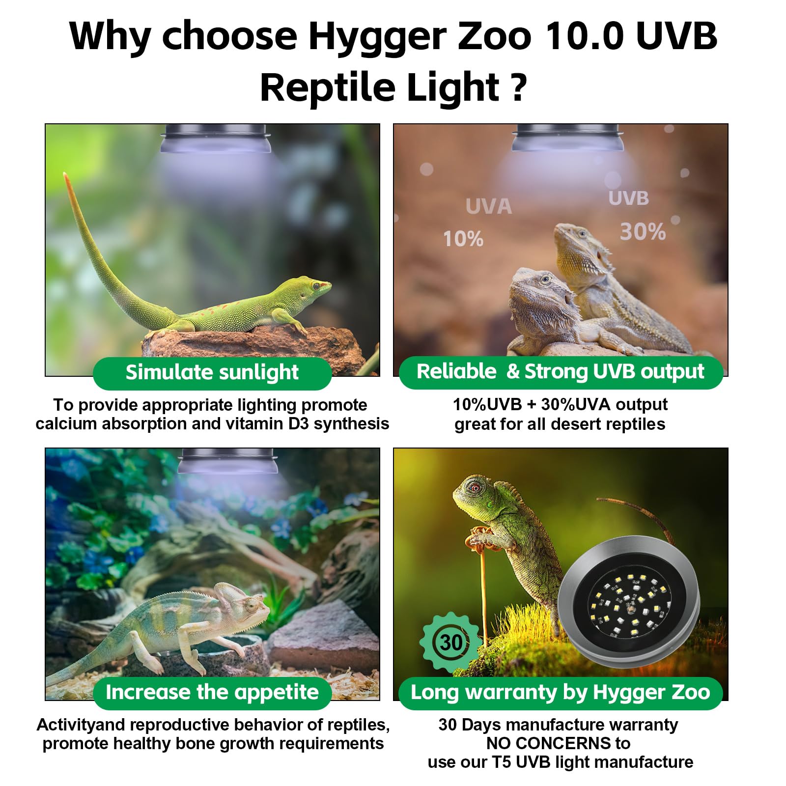 Hygger Zoo UVB light with magnetic install for easy mounting.