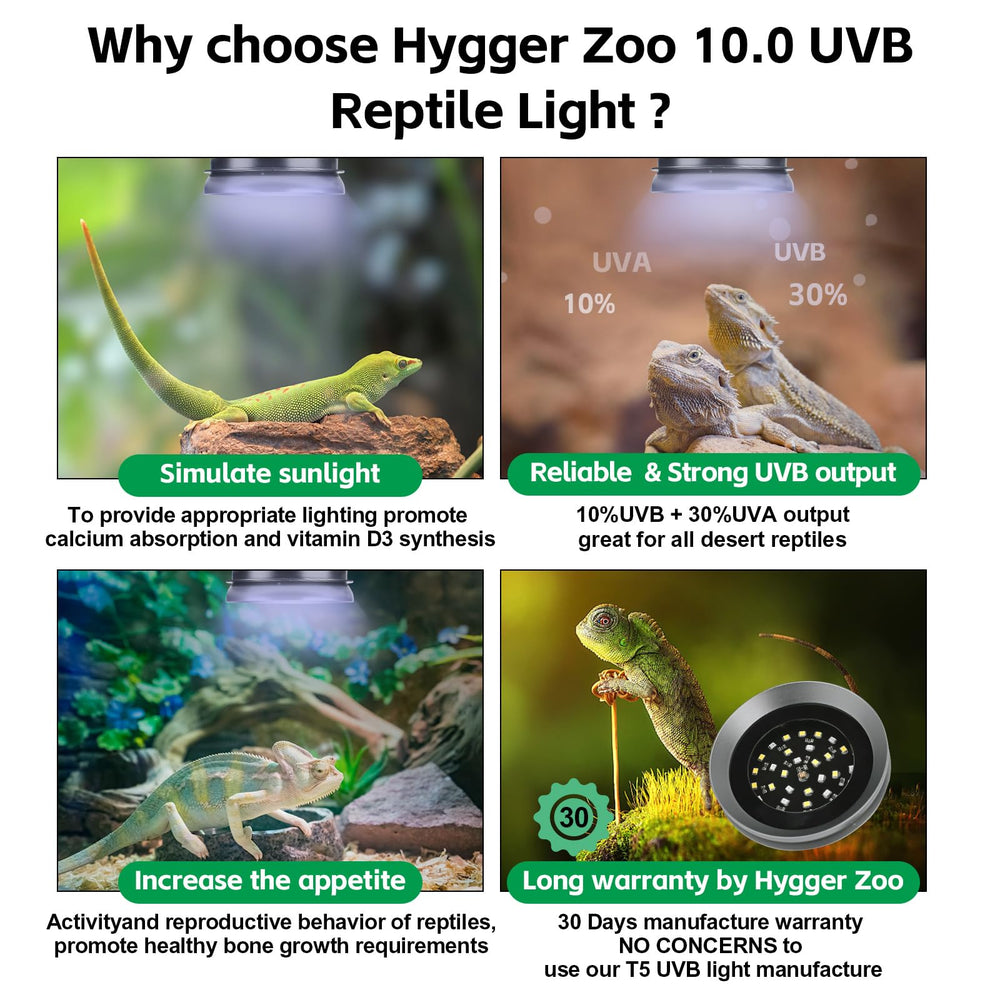 Hygger Zoo UVB light with magnetic install for easy mounting.
