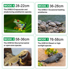 Hygger zoo UVB light with sunrise and sunset ramp for natural daily rhythms