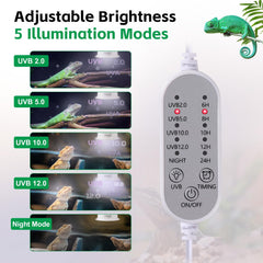 Hygger Zoo UVB light with timer and brightness control for day-night cycles.