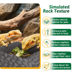 Hygger Zoo natural rock texture dish blends with terrarium decor