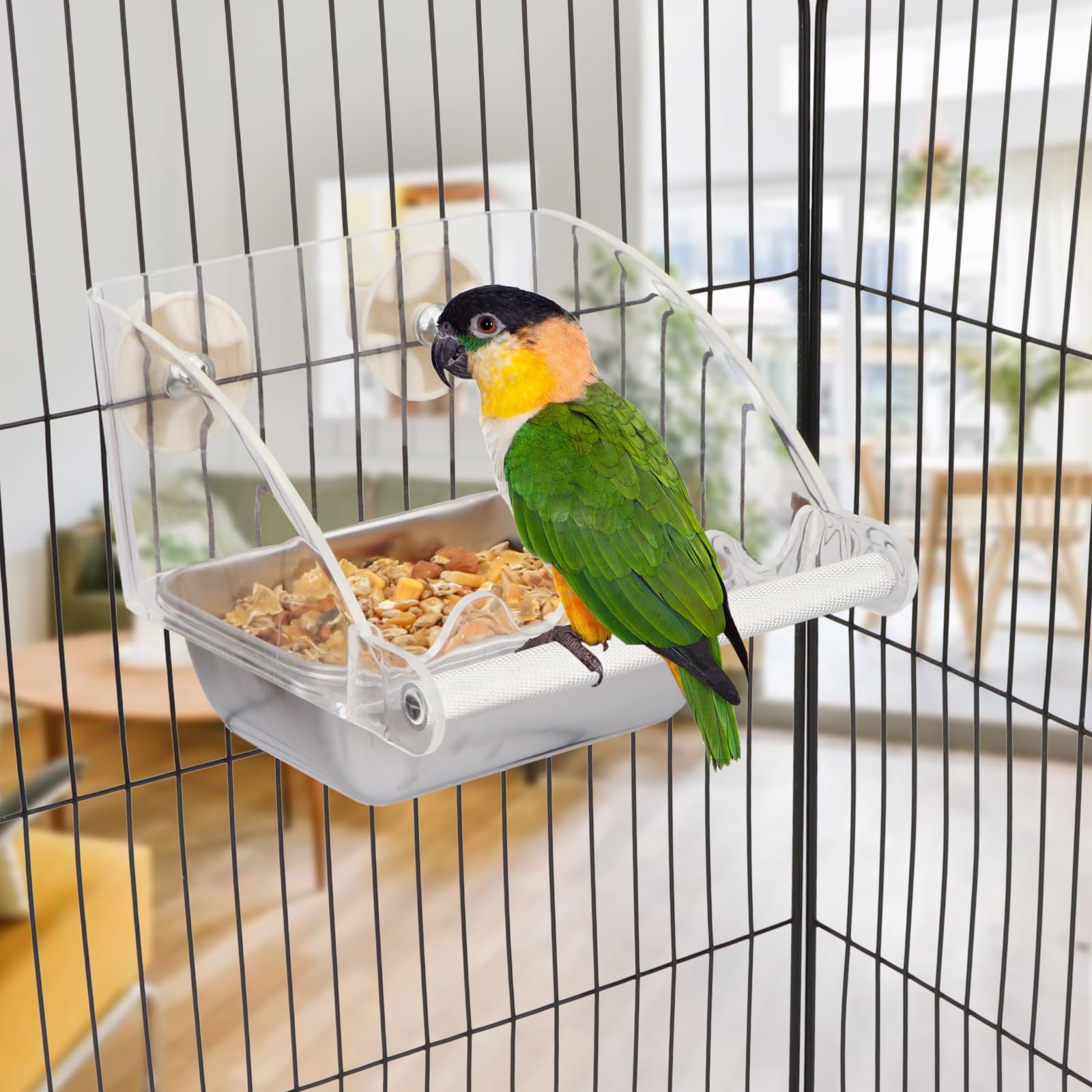 Hypeety compact design fits budgies and other small birds.