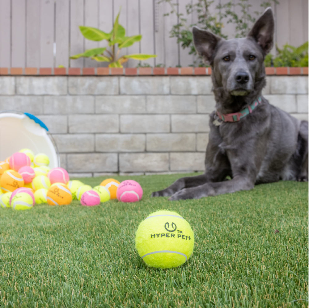Hyper Pet launcher-compatible balls for easy launches.