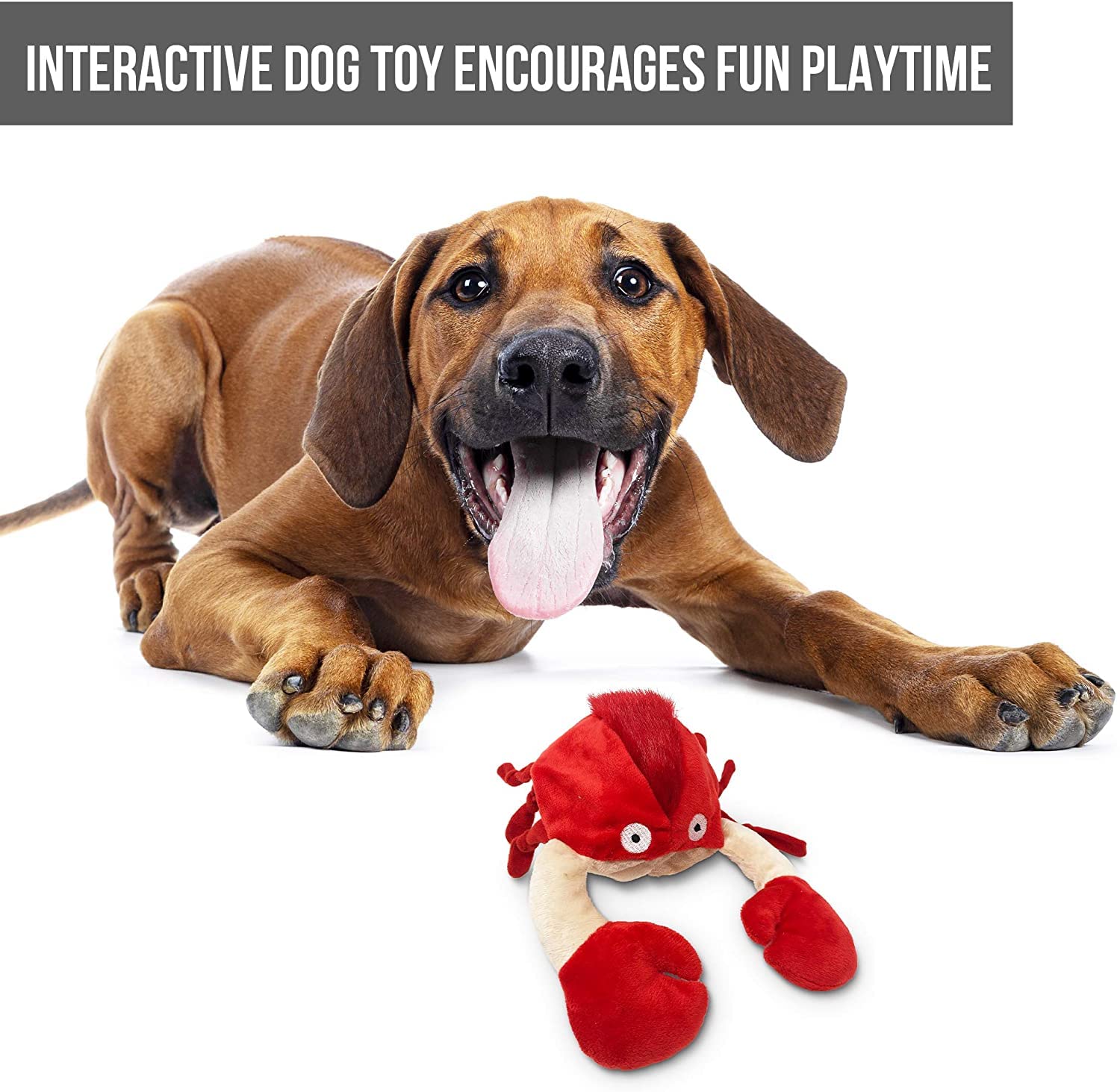 Hyper Pet Doggie Pal on-off switch helps conserve battery life.