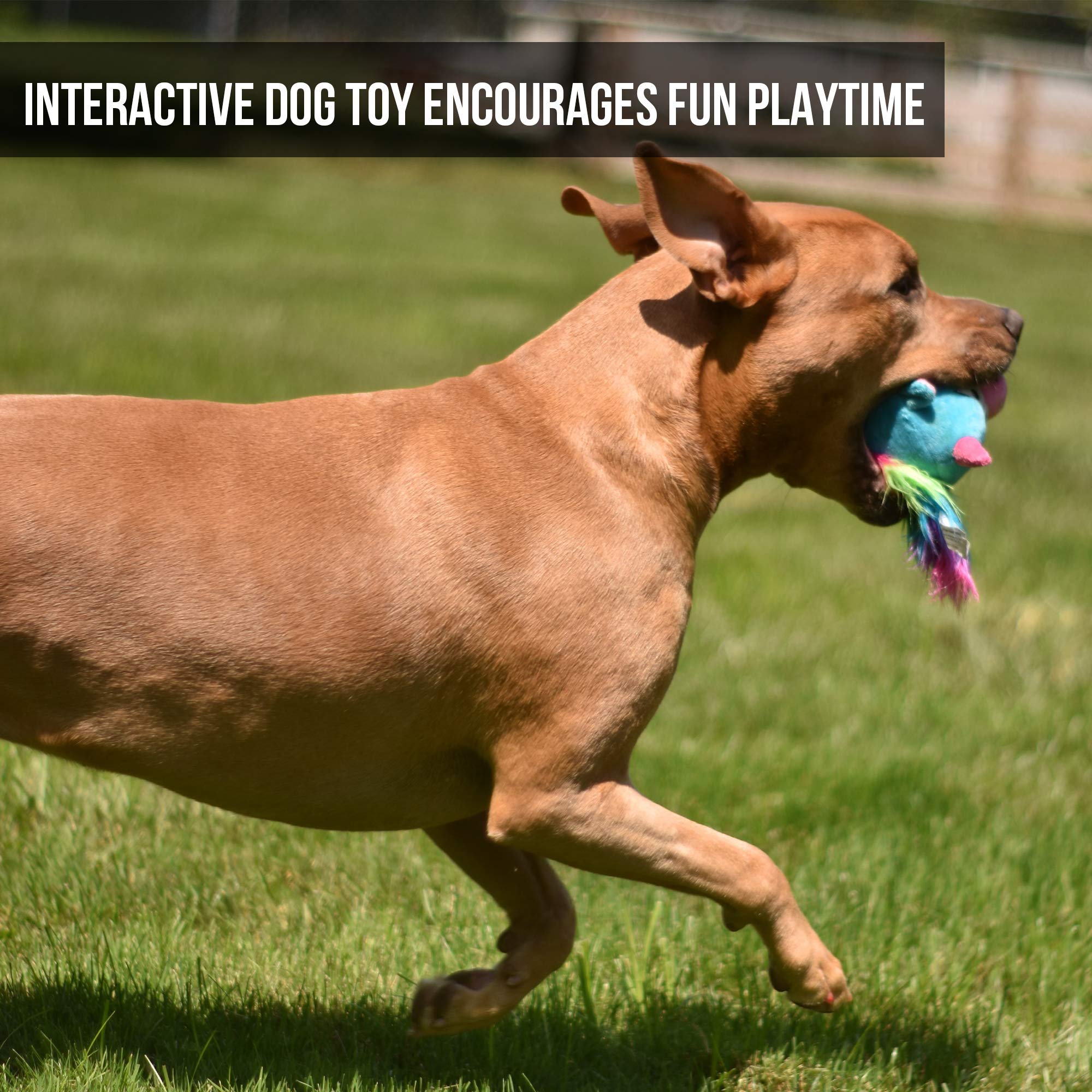 Hyper Pet Doggie Pal Unicorn squeaky toy adds audible cues during games.