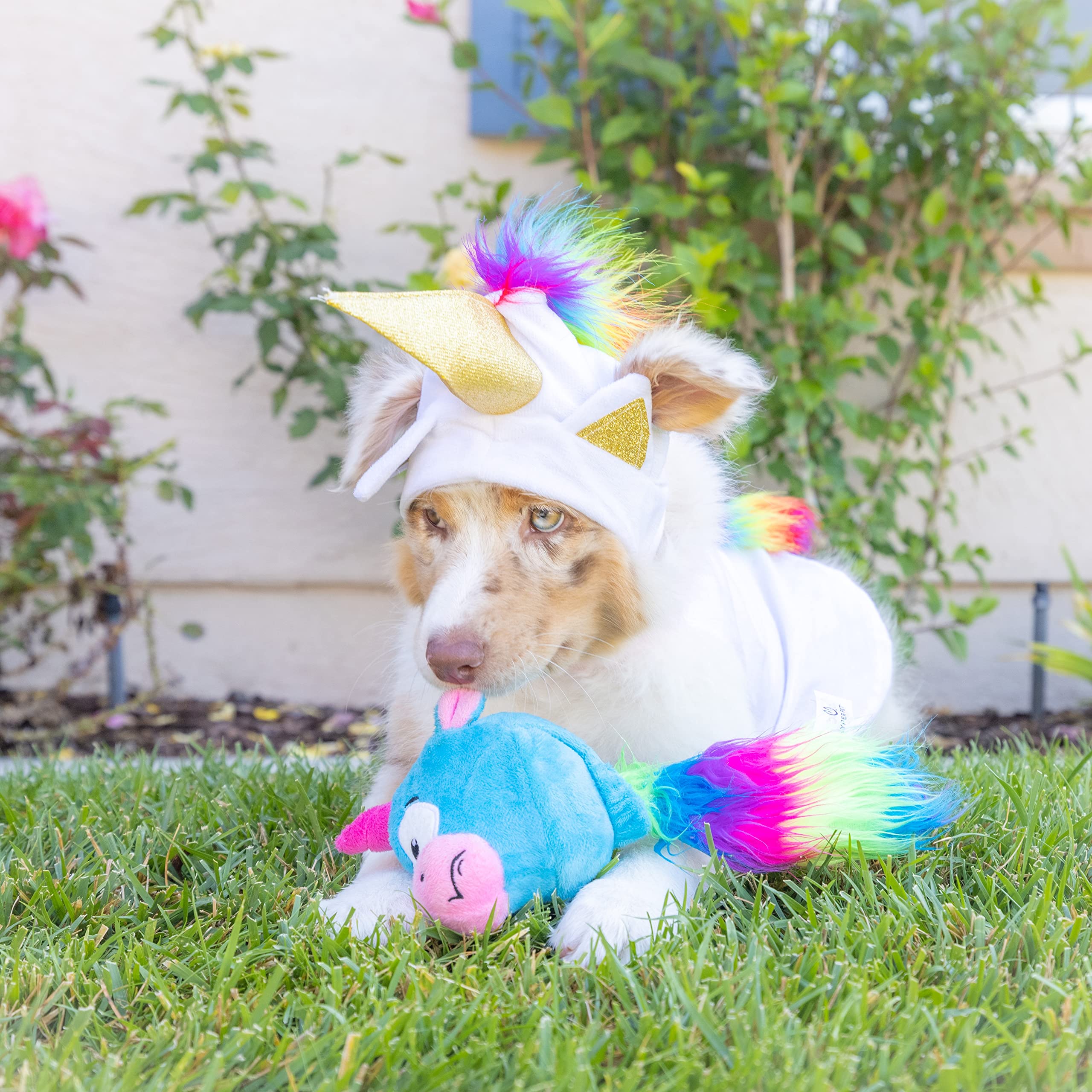 Hyper Pet Doggie Pal Unicorn barks to invite curious dogs to explore.