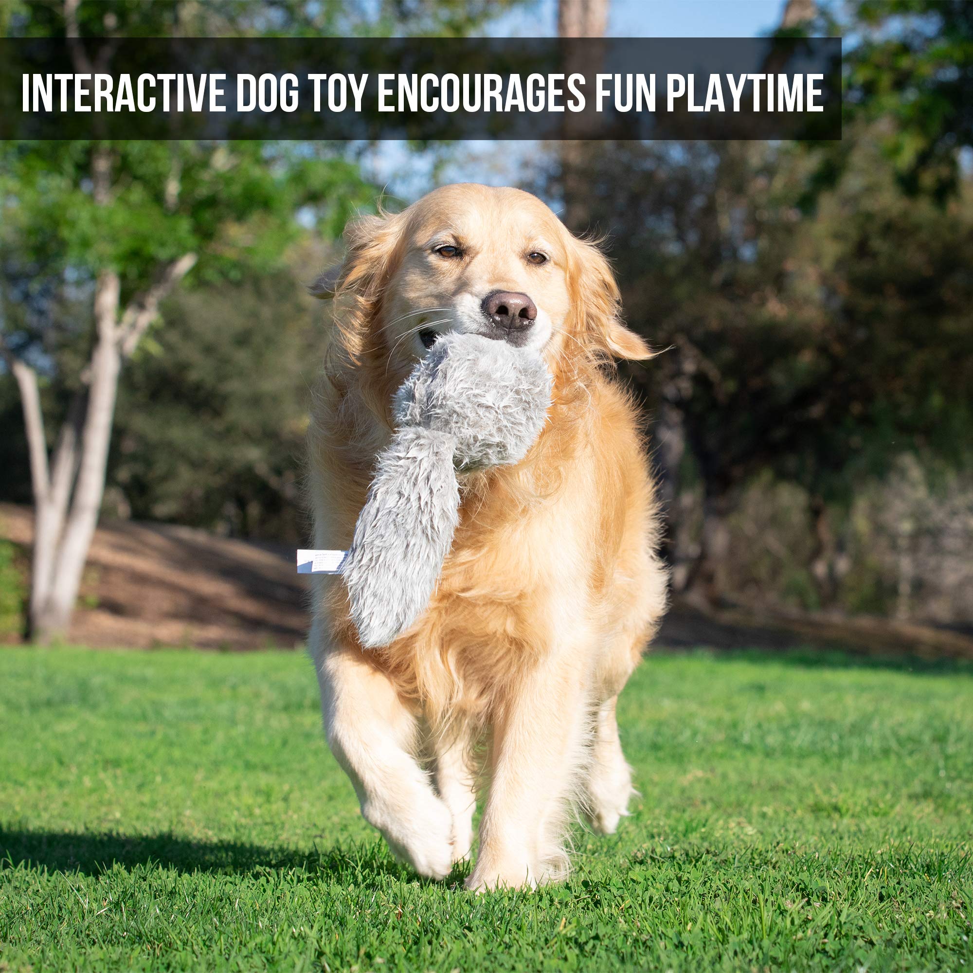 Hyper Pet Doggie Tail battery change supports longer play sessions.