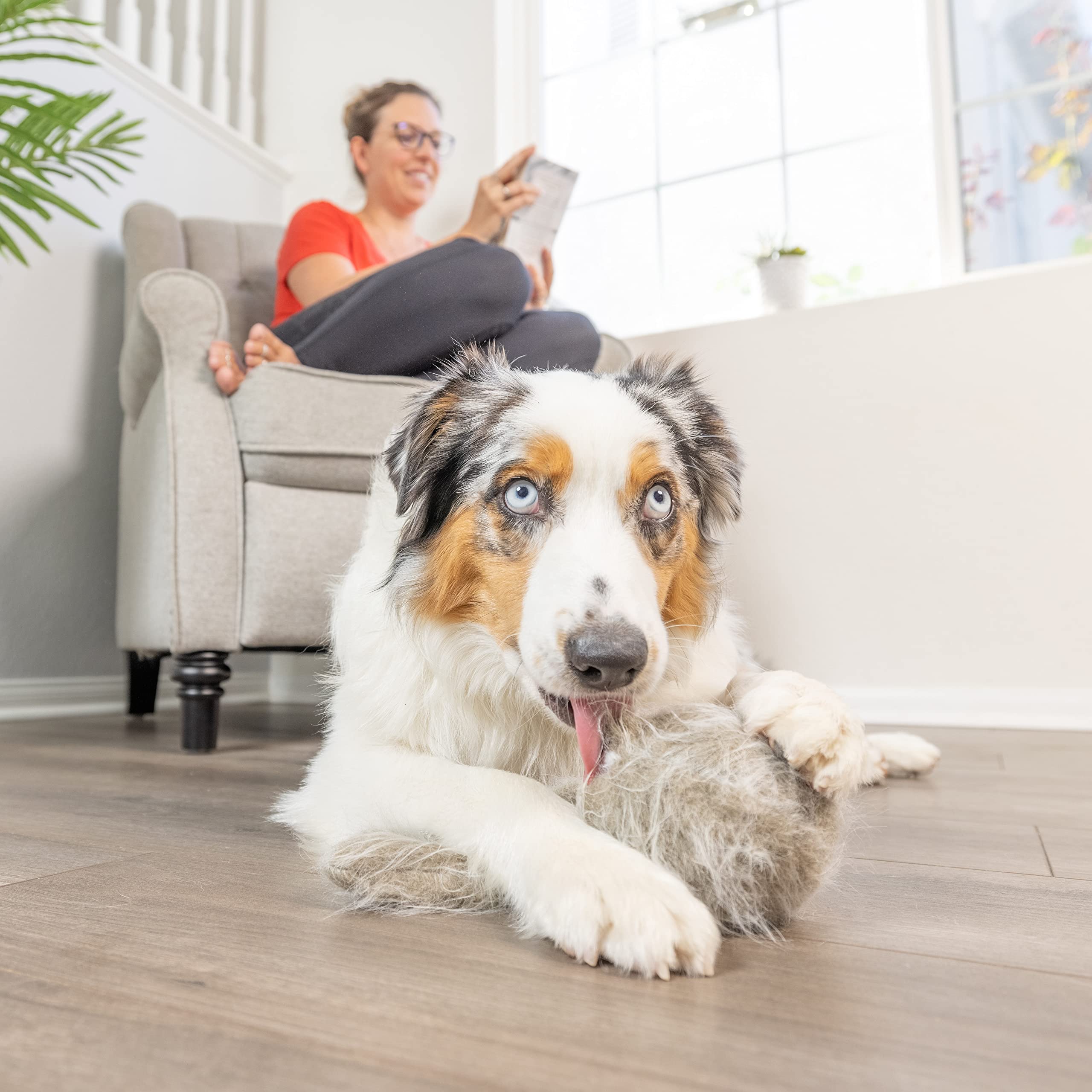 Hyper Pet Doggie Tail vibrates to promote activity and focus.