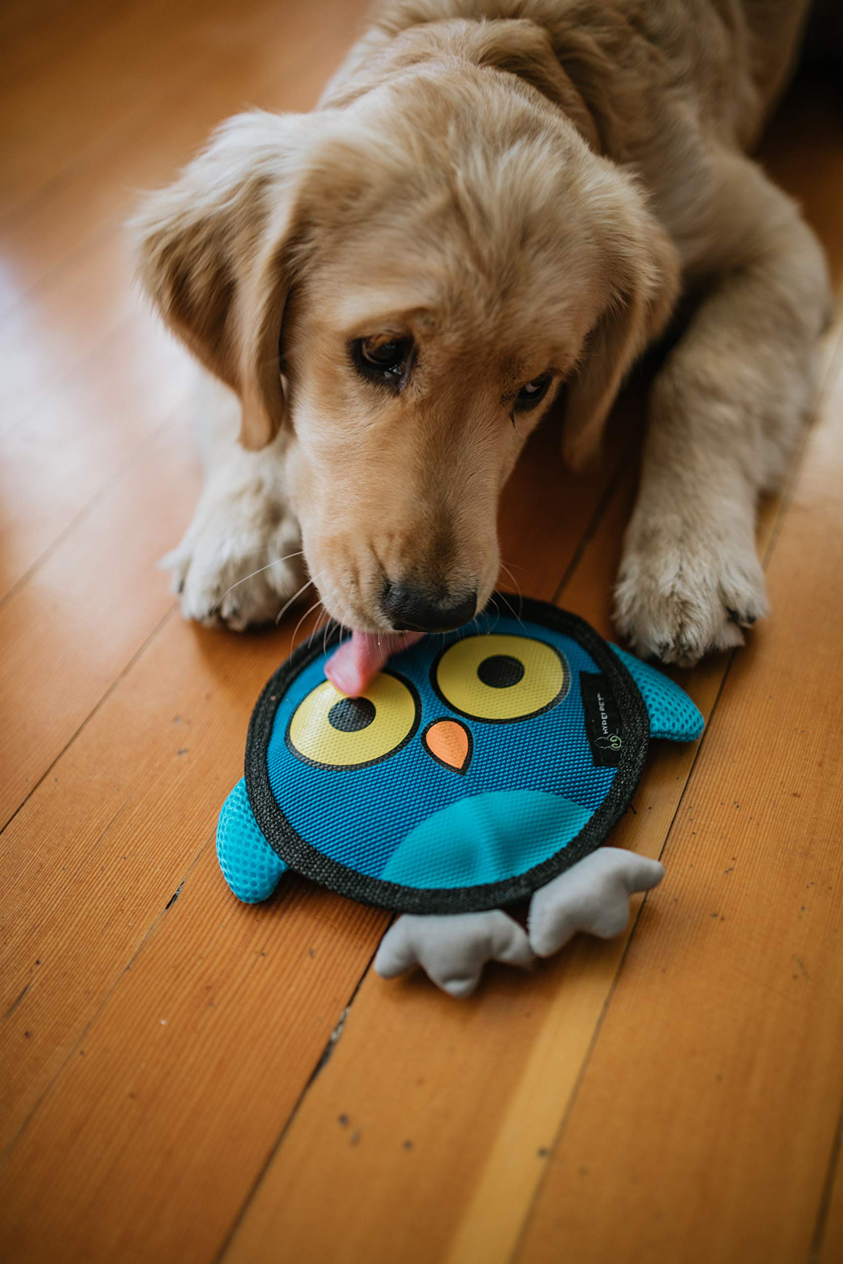 Hyper Pet Firehose Flyers Owl grey in action for outdoor fetch sessions