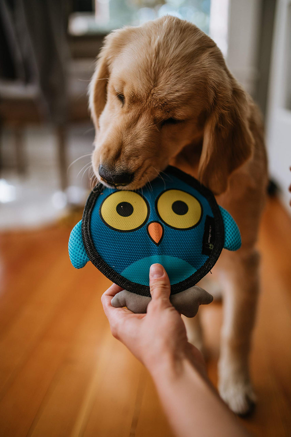 Hyper Pet Firehose Flyers Owl grey close-up of the loud squeaker