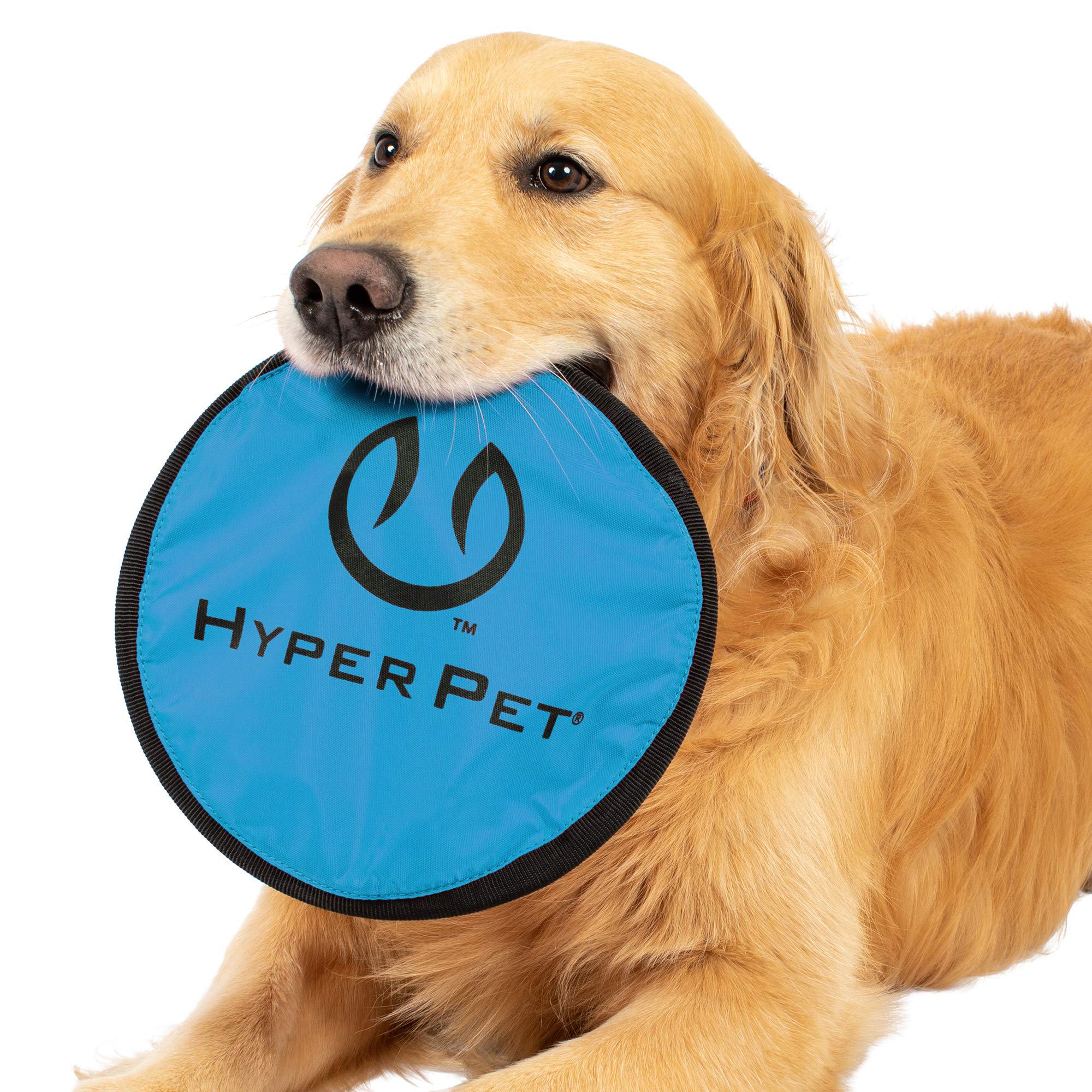 Hyper Pet Flippy Flopper ideal outdoor fetch on grass, sand, or snow.
