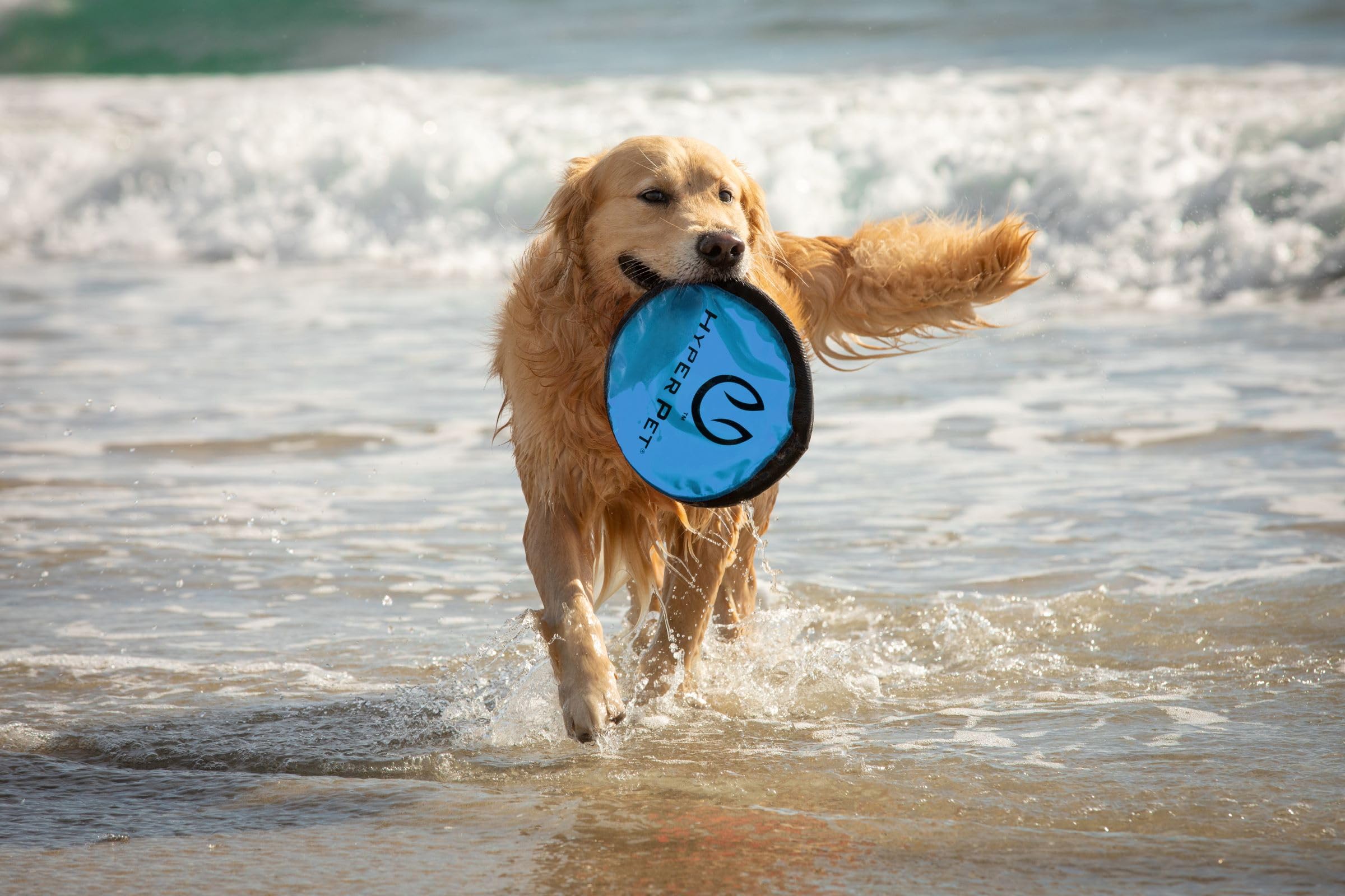 Hyper Pet Flippy Flopper soft disc supports gentle catches and training.