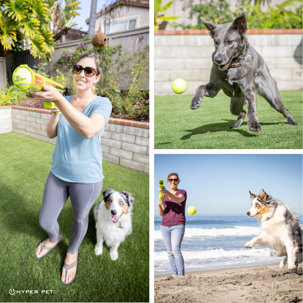 Backyard setup with Hyper Pet K9 Kannon and dog at play