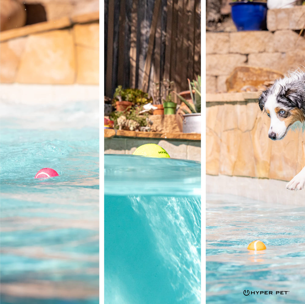 Hyper Pet K9 Kannon K2 Mini Launcher paired with balls.