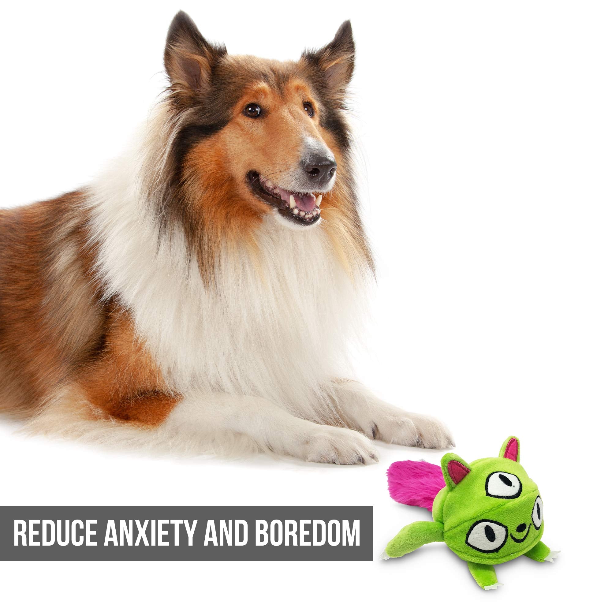 Hyper Pet Monster Pal toy setup is quick for busy households.