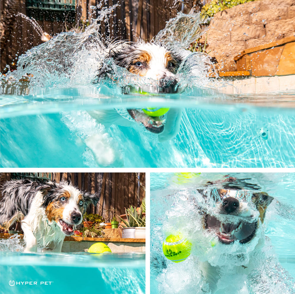 Hyper Pet tennis balls with mesh bag for on-the-go storage.
