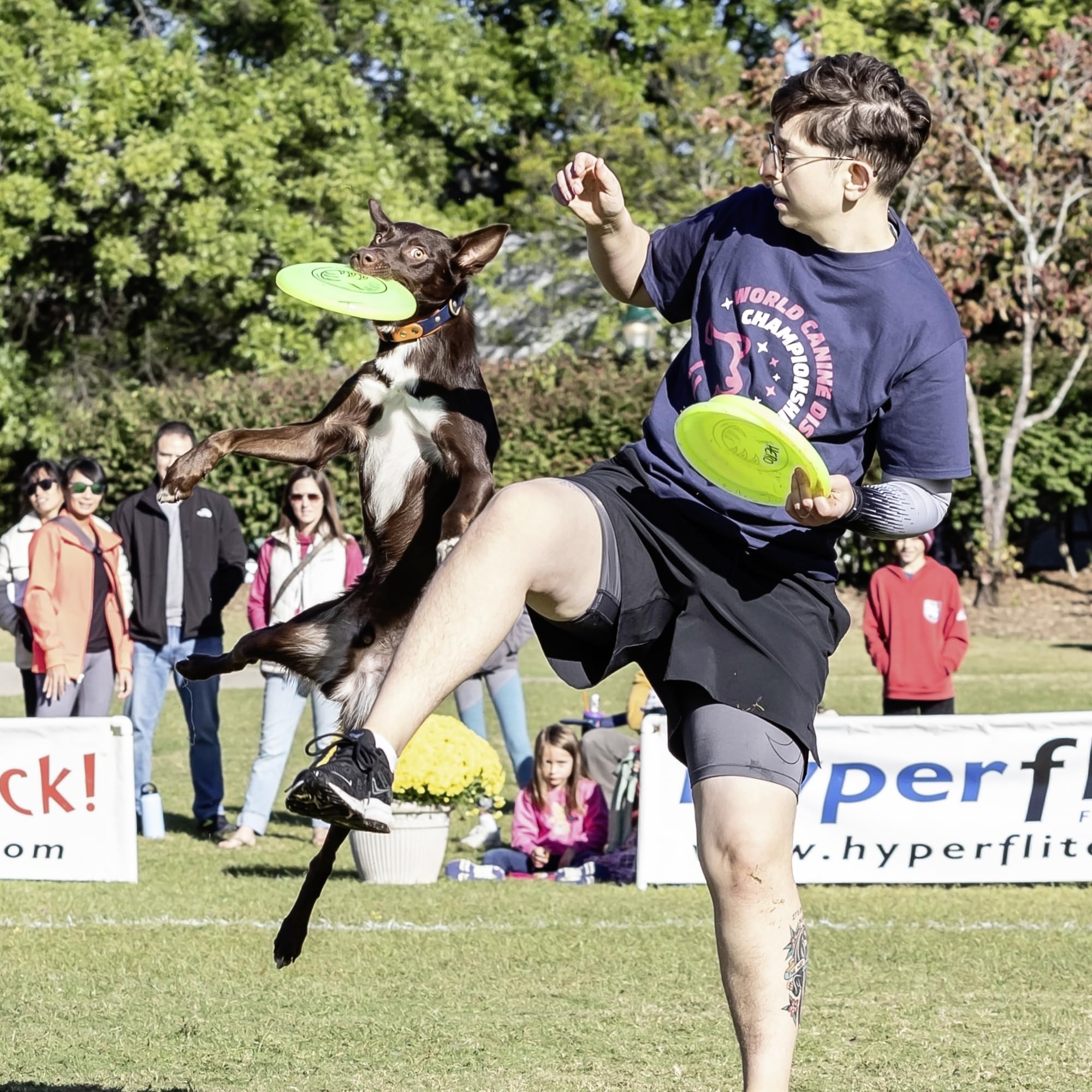 Hyperflite K-10 Jawz competition-verified disc for long flights.
