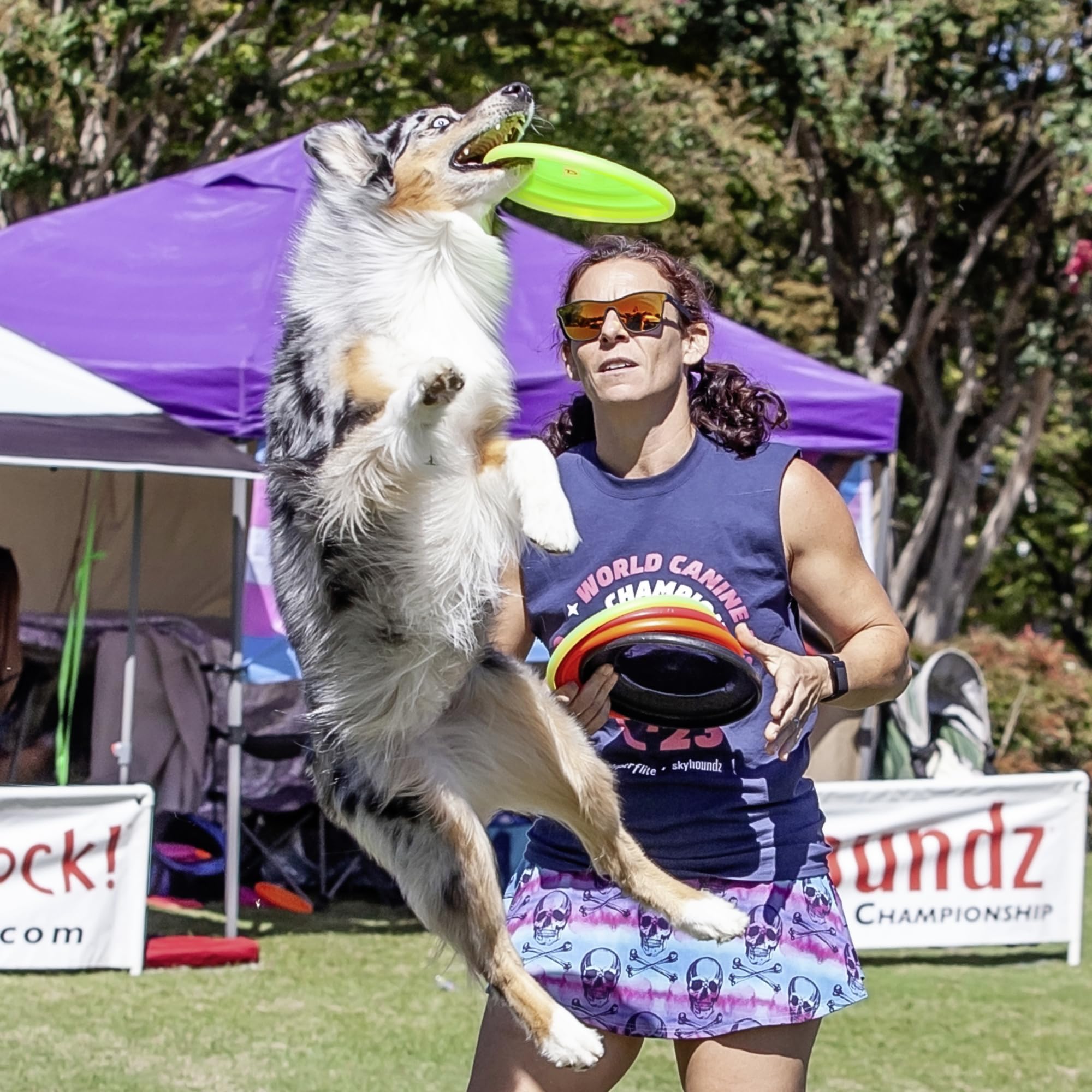 Hyperflite K-10 Jawz not a chew toy; Pup Jawz available for smaller dogs.