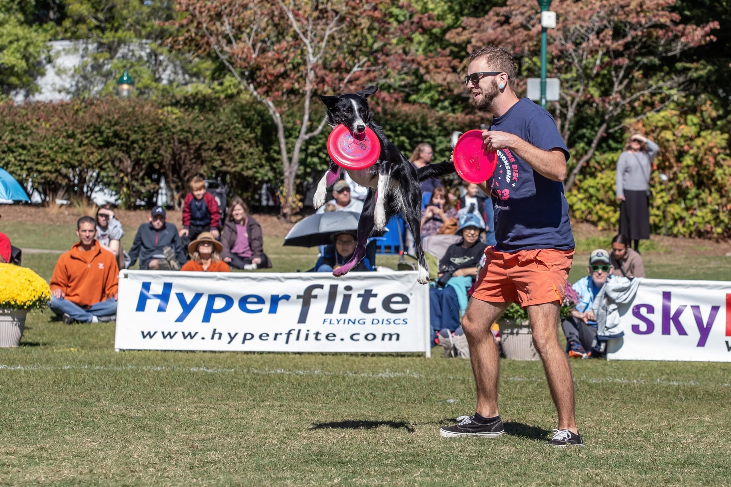 Hyperflite K-10 Jawz pink competition-standard for long flights
