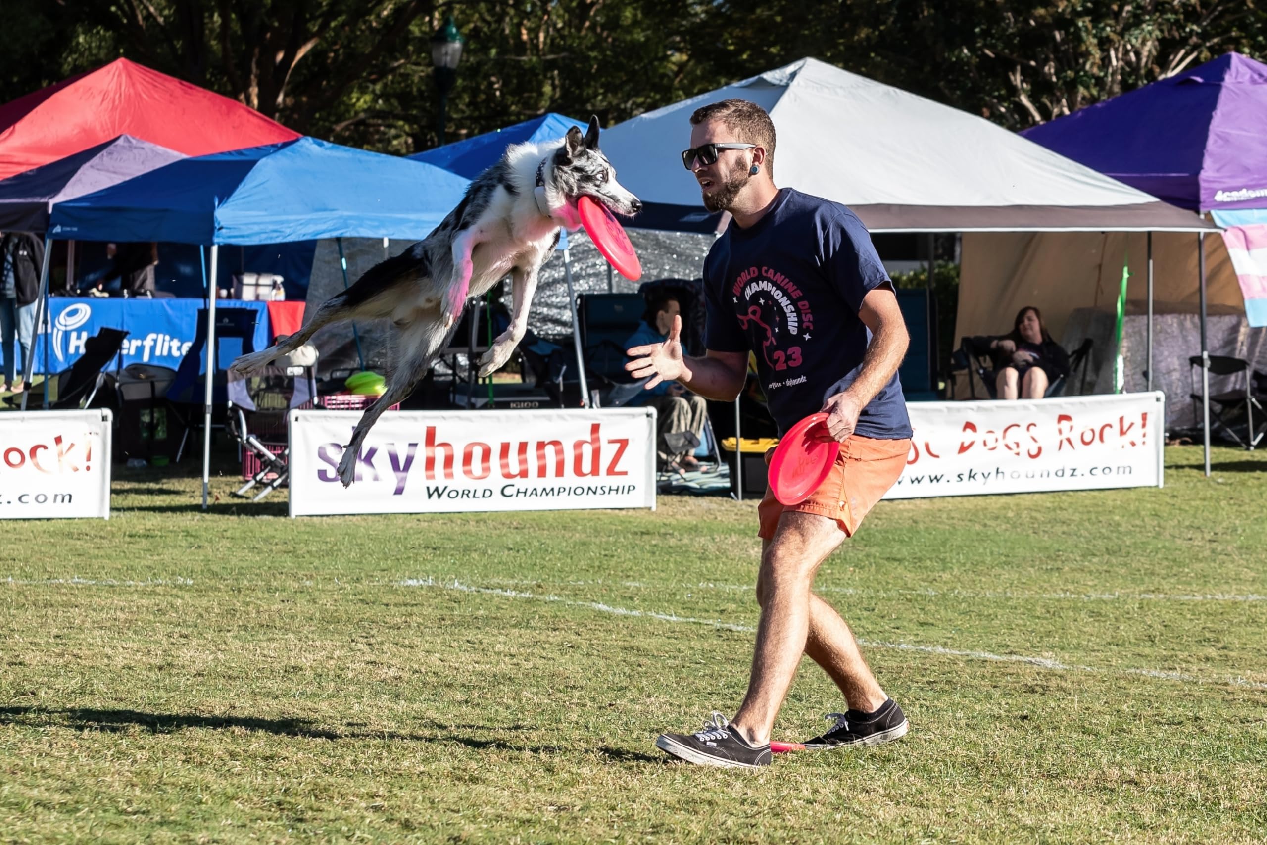 Hyperflite K-10 Jawz pink action-shot during fetch