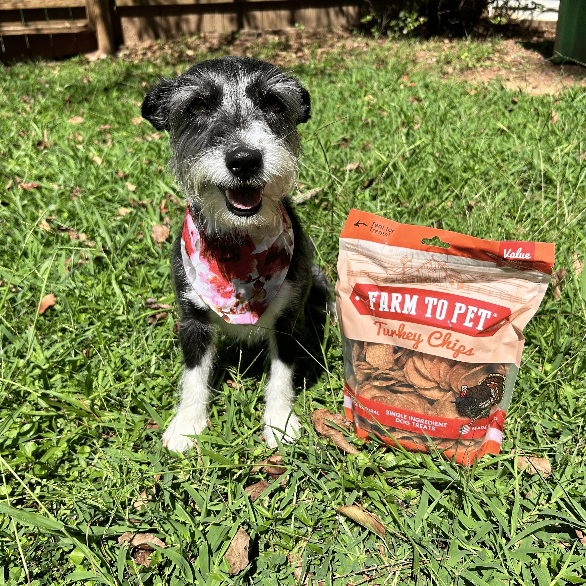 Hypoallergenic dog treats image emphasizing gentle digestion.