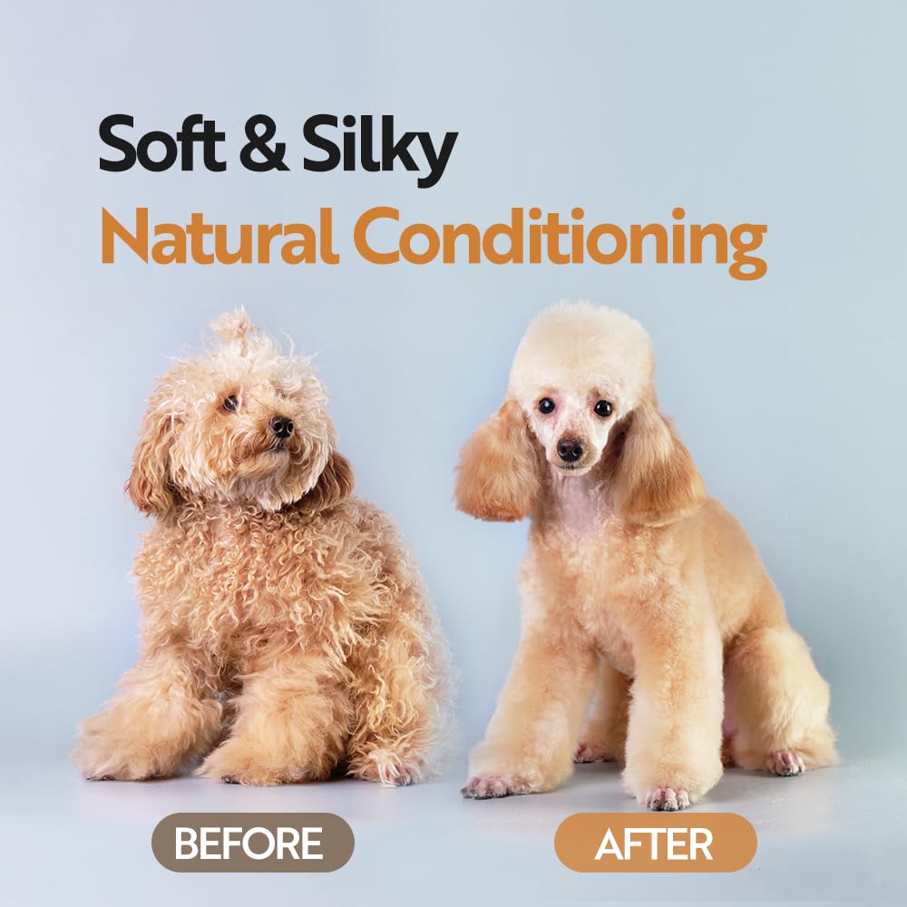 Volume boost visible on fluffy Bichon Frise coat after wash.