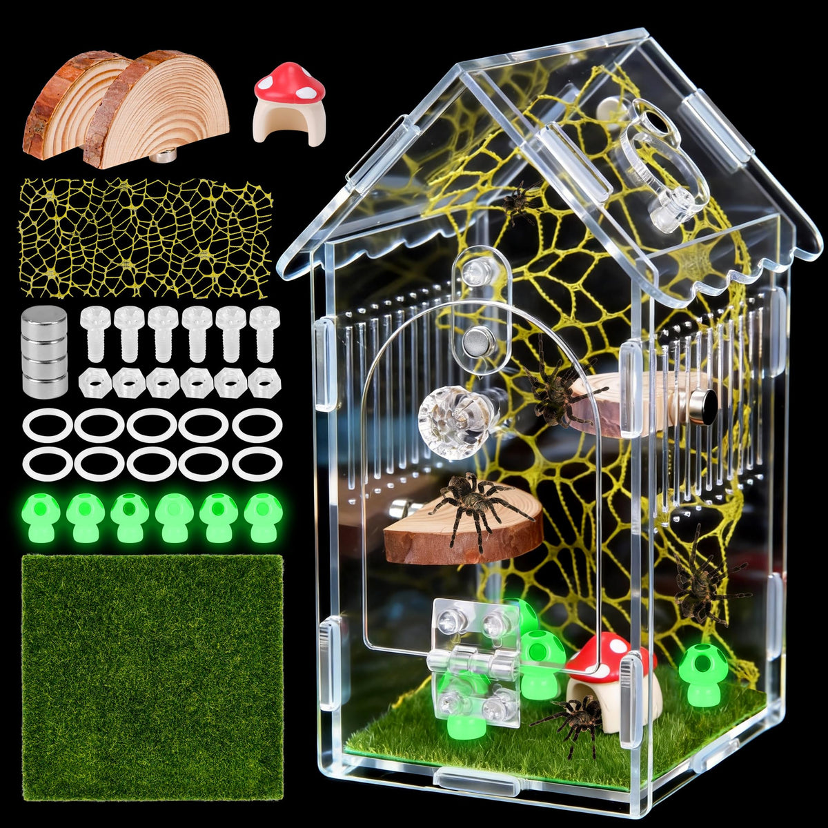 Hysagtek Jumping Spider Enclosure front view shows crystal-clear acrylic for unobstructed observation