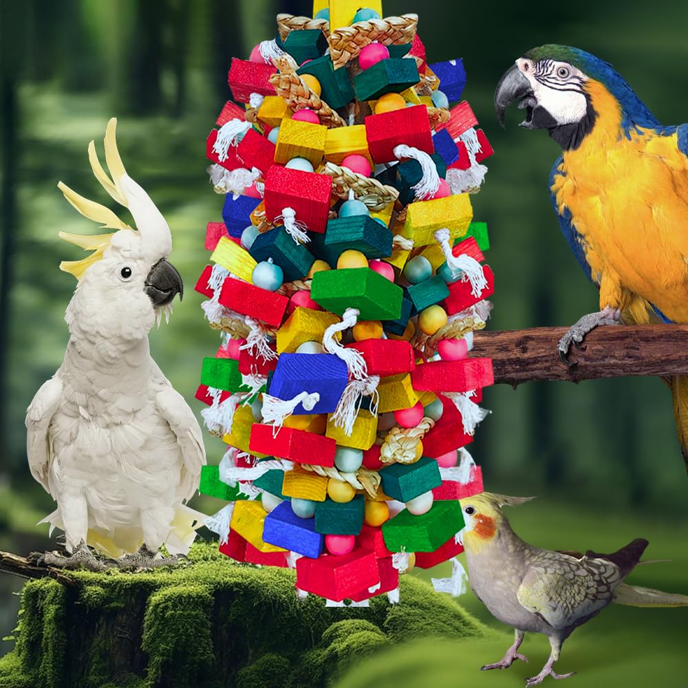 HZDZ LCPAW spacious cage toy supports extended activity.