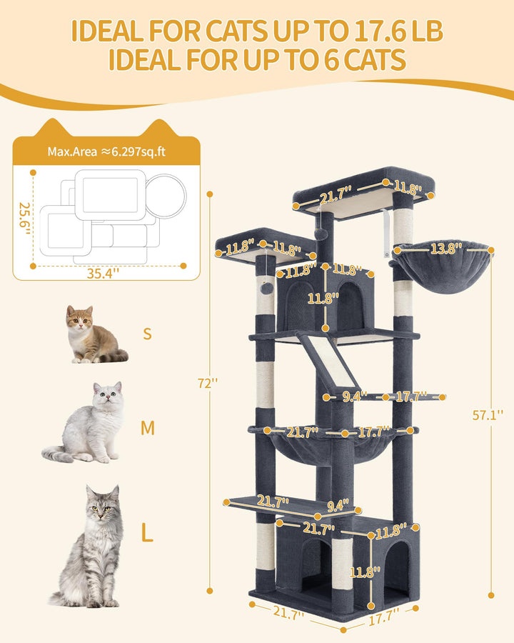 Hzuaneri dual top platforms offer room to stretch and observe.