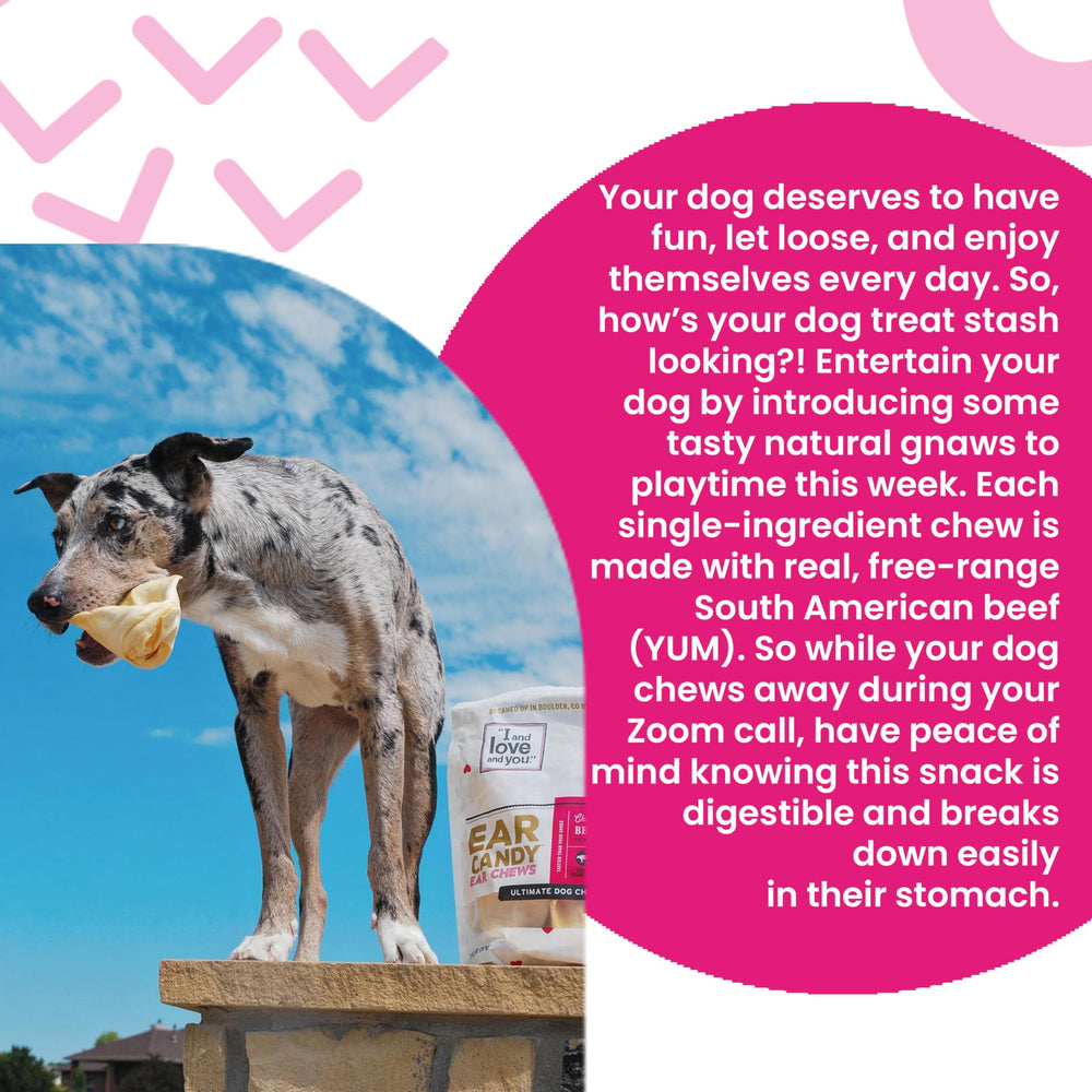I and Love and You Ear Candy Cow Ear Chews allergy-safe option for sensitive pups.