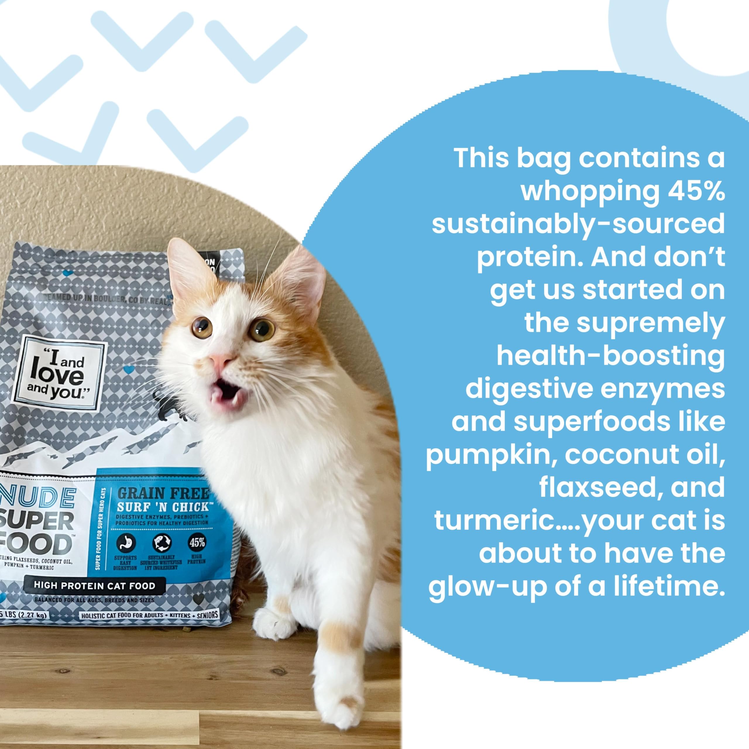 I and love and you Nude dry cat food serving time bowl ready for daily meals.