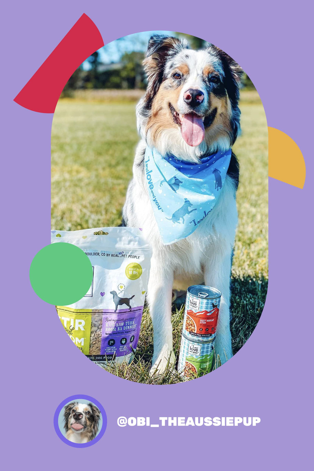 Nutrient-rich recipe from I and Love and You wet dog food