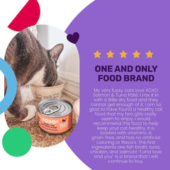 I AND LOVE AND YOU XOXOs grain-free formula image emphasizes no grains for sensitive tummies