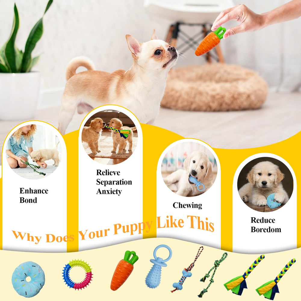 IAIGOGO enrichment toys promote sniffing, tug, and chewing for puppies