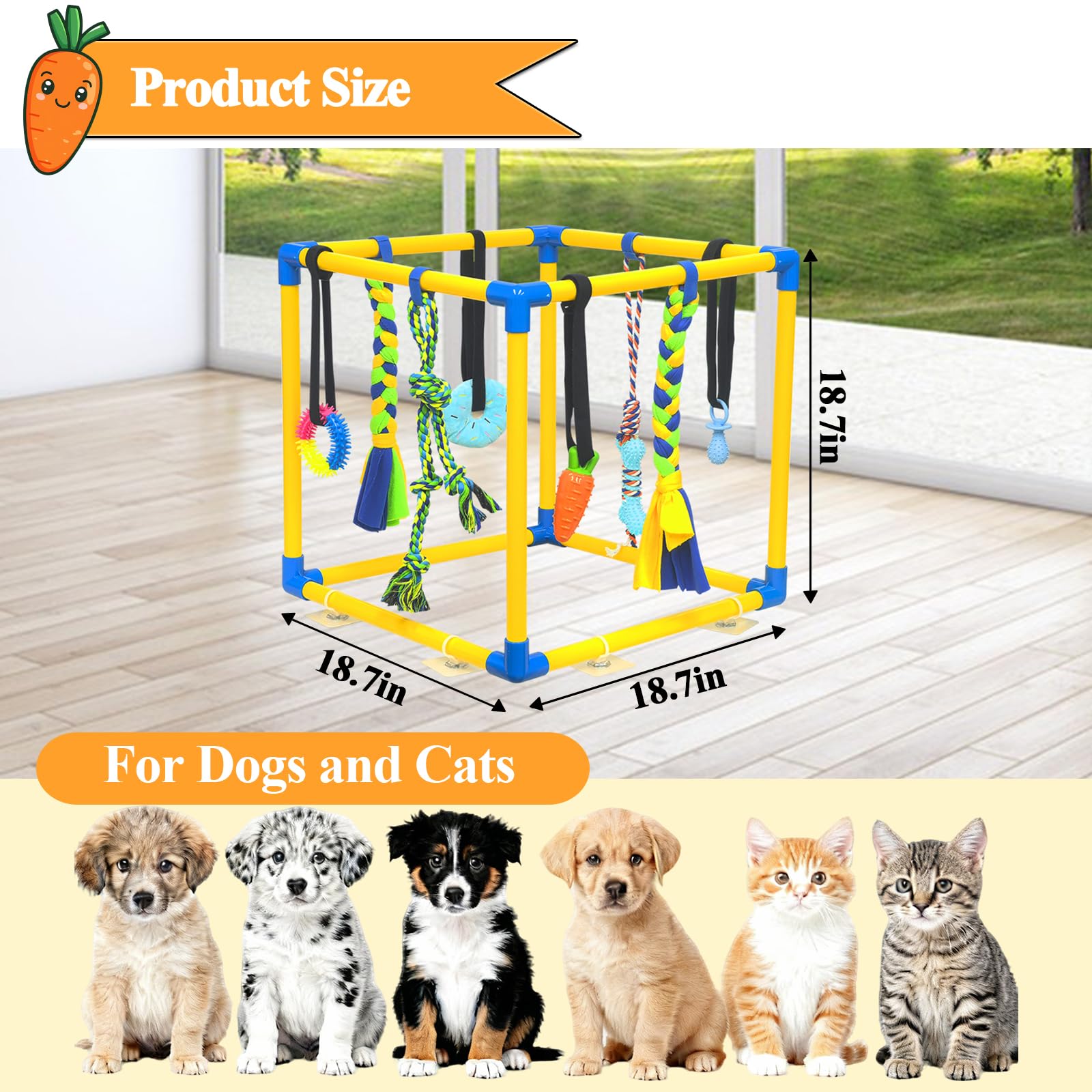 IAIGOGO suitable for small breeds like Cavapoo or Chihuahua during busy days
