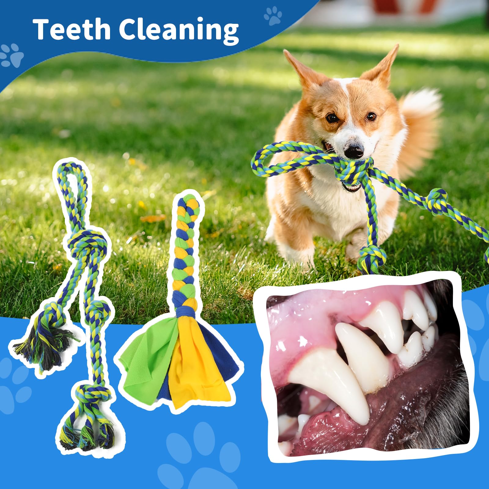 IAIGOGO solo-play toy offers convenient outdoor fun without trees.