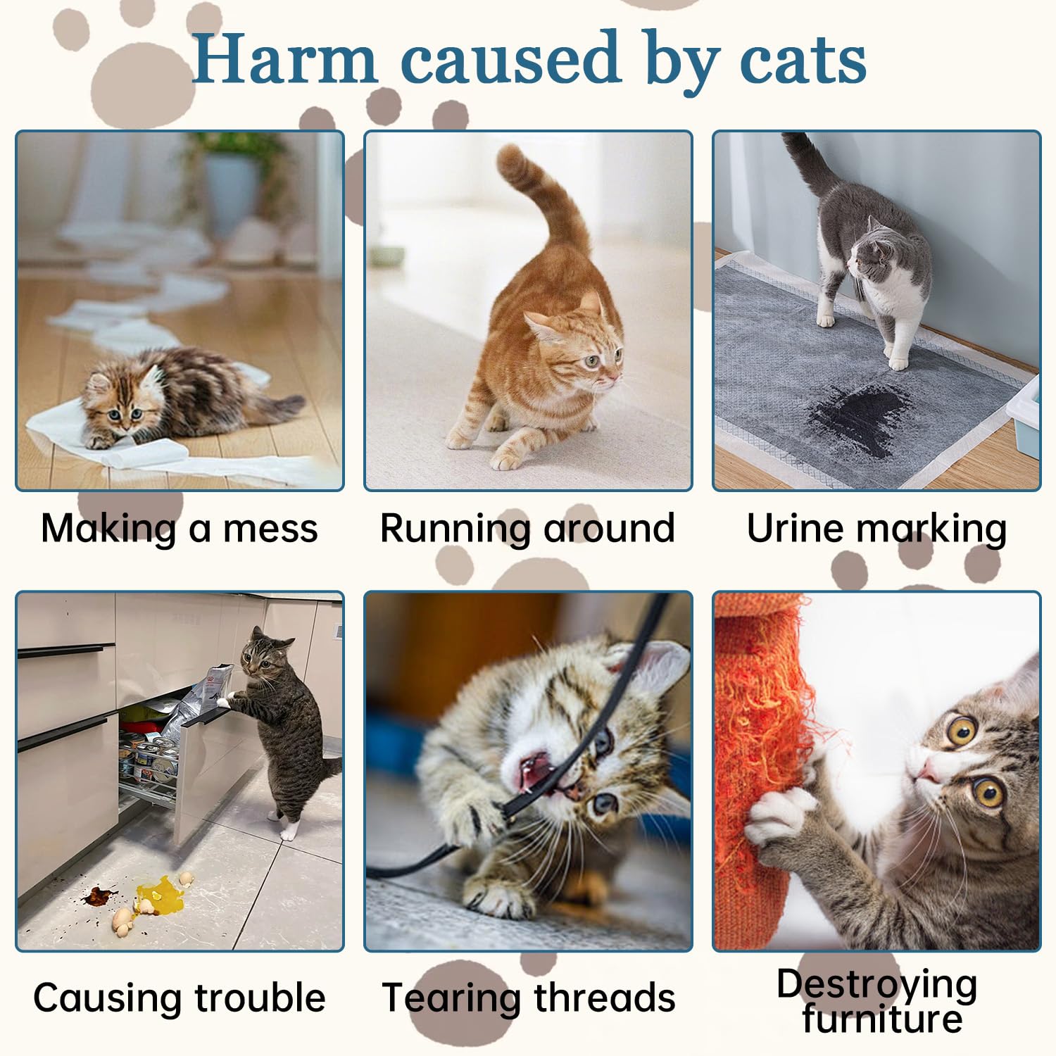 iALTERLL Cat Deterrent Spray outdoors deters stray cats from garden areas