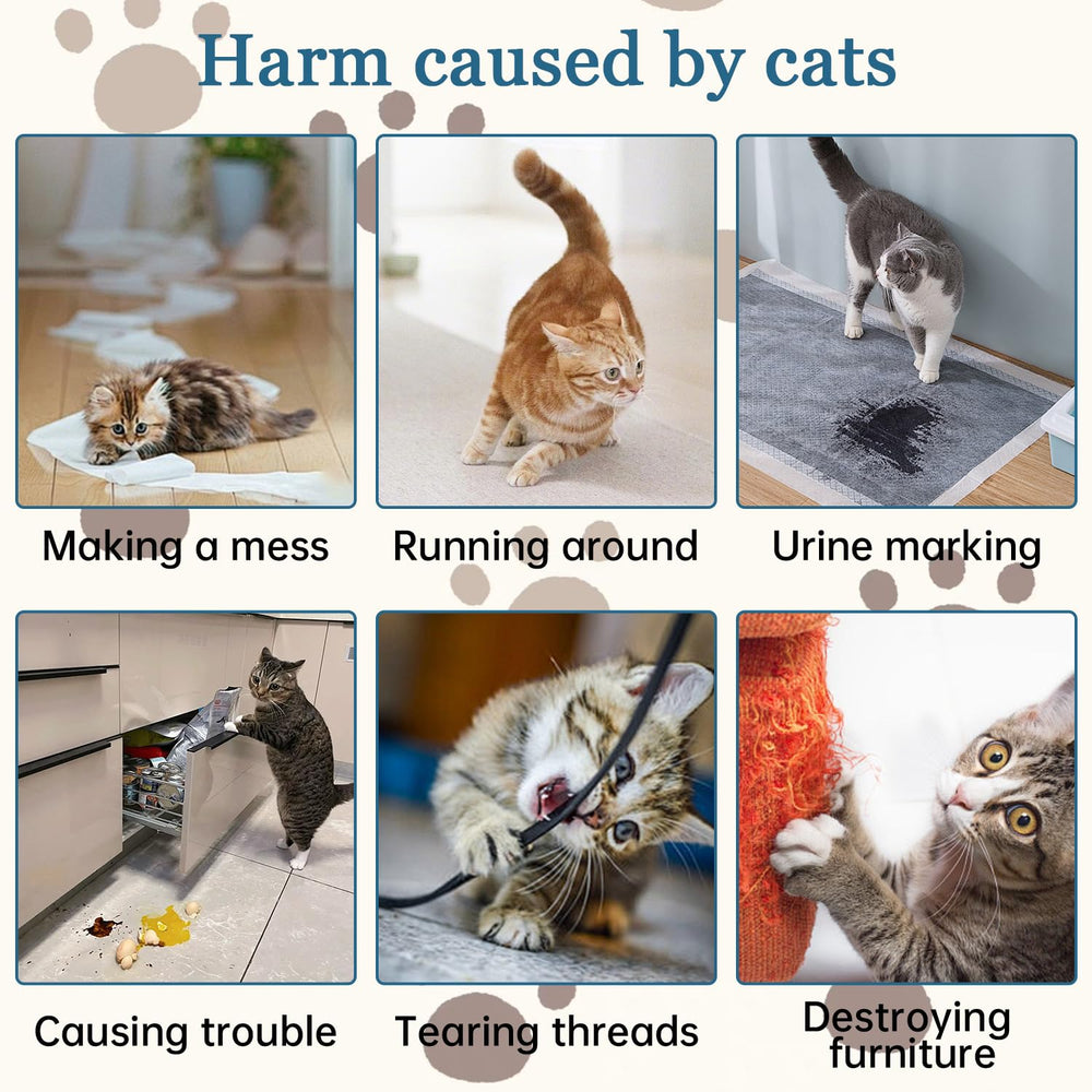 iALTERLL Cat Deterrent Spray outdoors deters stray cats from garden areas