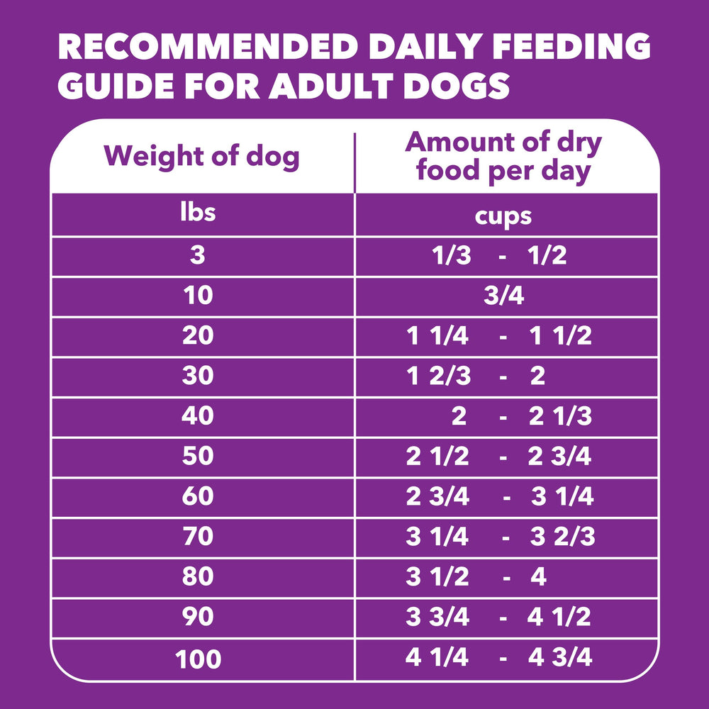 IAMS Advanced Health dog food ready for mealtime routine