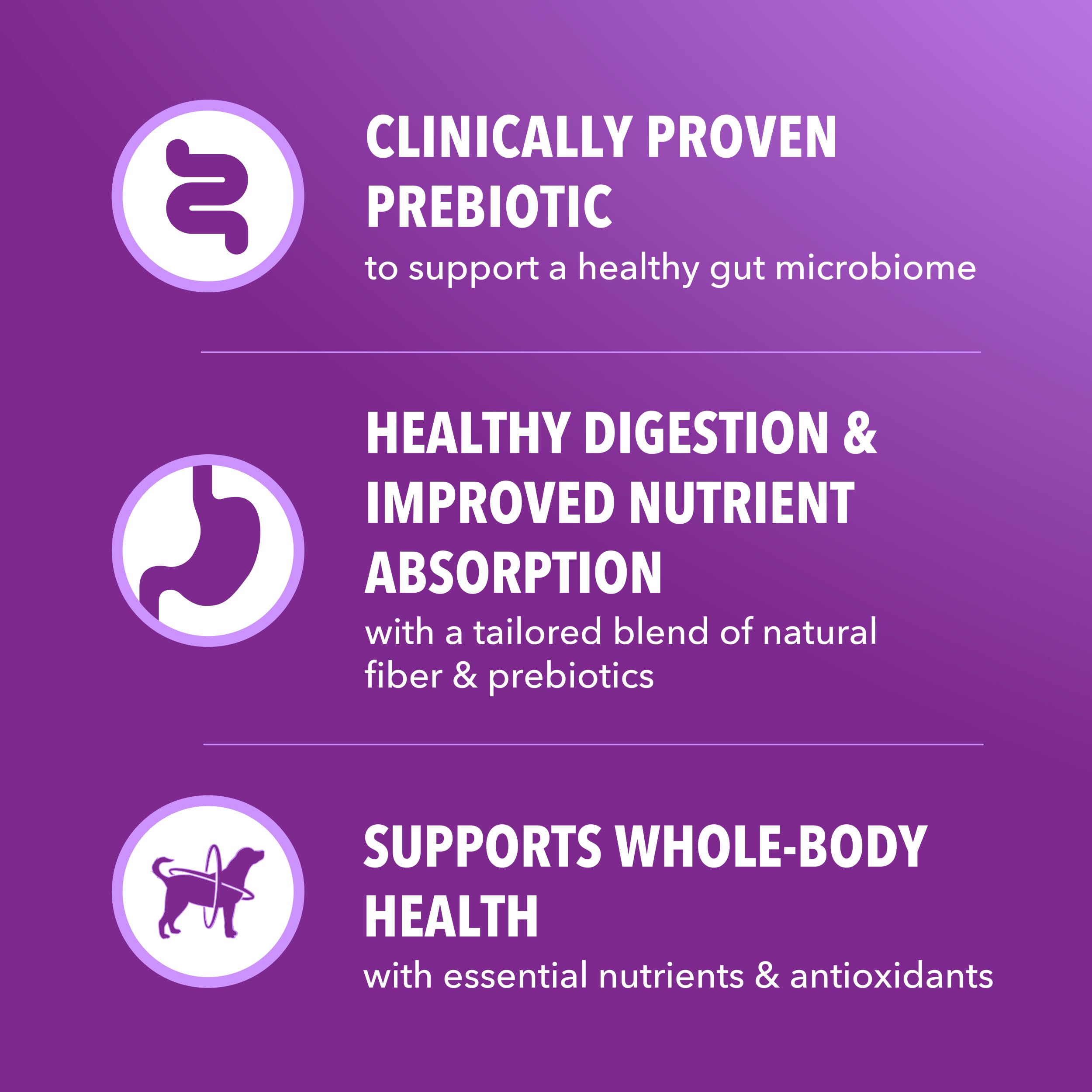 Wholesome grains in IAMS Advanced Health provide steady energy for daily activity