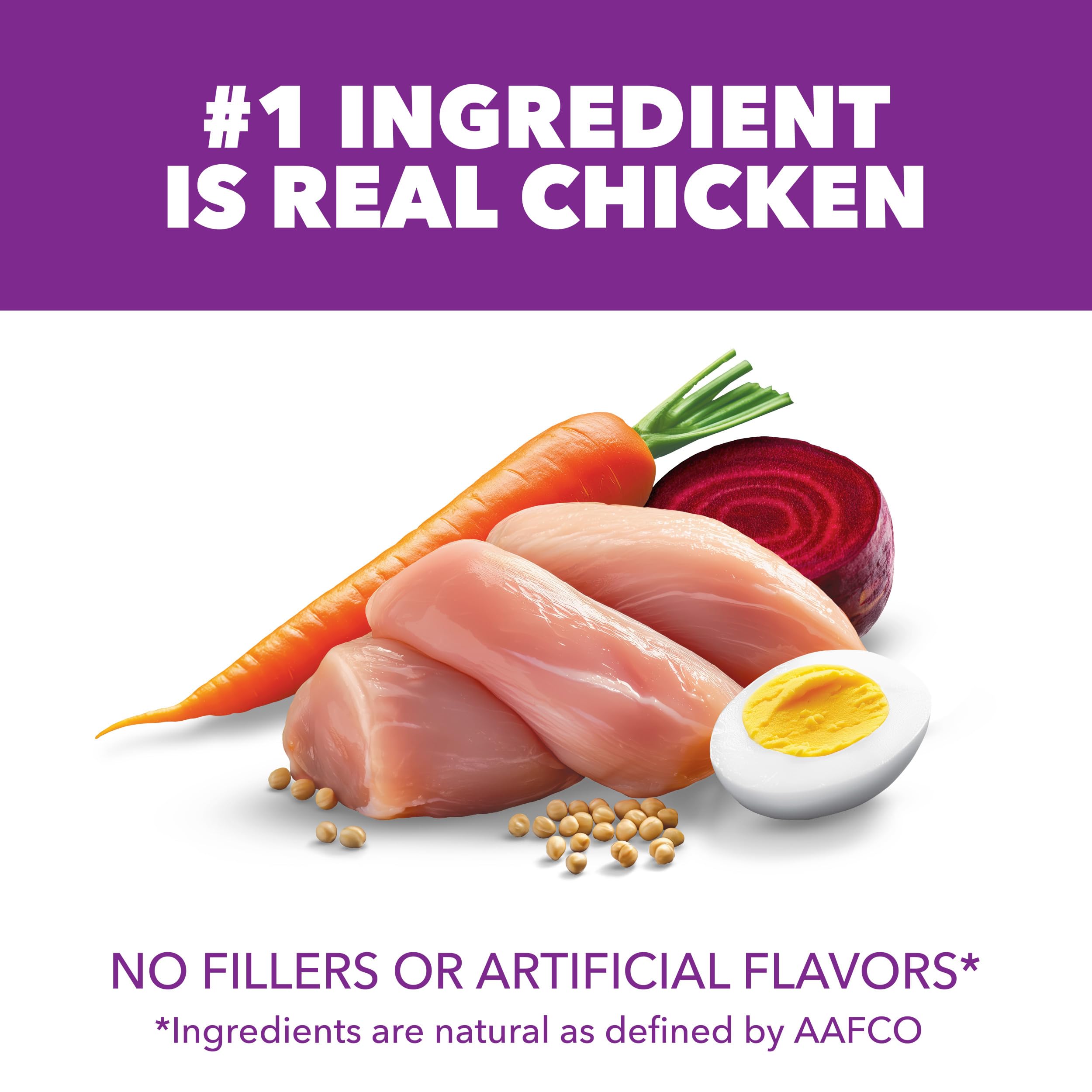IAMS Advanced Health Dry Dog Food real chicken piece highlights protein source for meals.