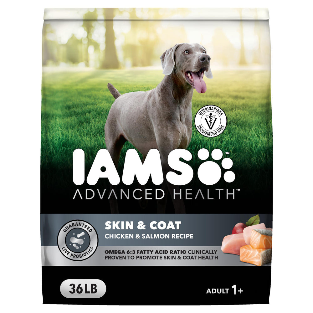IAMS Advanced Health Skin & Coat dog food bag front view highlighting skin support.